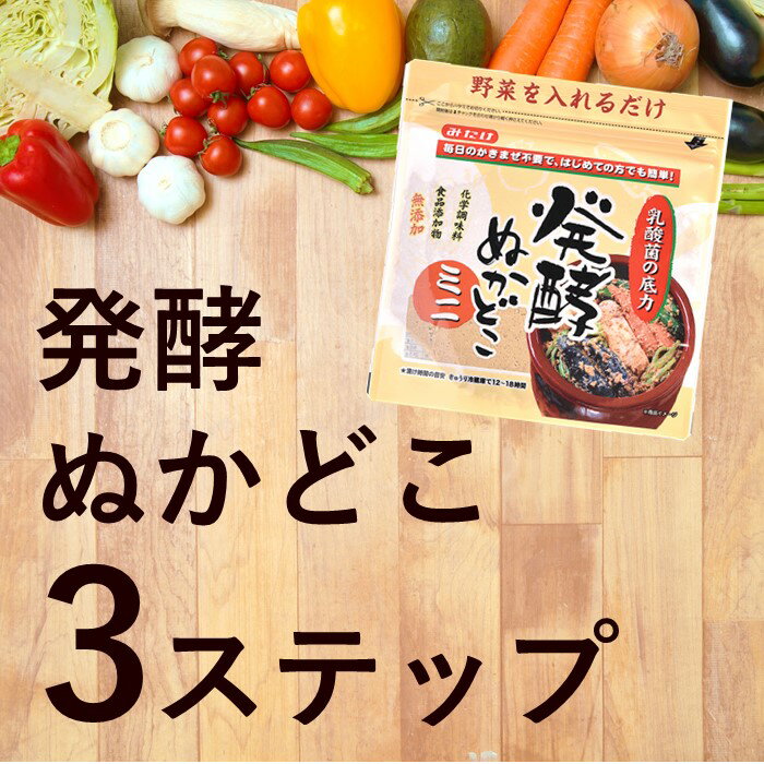 みたけ 発酵ぬかどこ ミニセット【500g×1、250g×2】 ネコポス 特許取得 【NHKまちかど情報室でもご紹介】 ぬか漬け ぬかみそ ぬか床 糠床 ぬかどこ ぬか ぬか床セット 漬物 糠漬け 冷蔵庫 乳酸菌 腸活 発酵食品 初心者