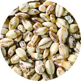 ���������ơ��������160g�� ���������� ����� 160g ���� ����� ���� ���� �򹯿��� �������åȻ��μ翩 ����� �ȥåԥ� ��ڤ˷� ��������