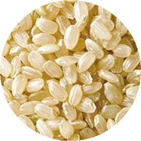 発芽玄米お粥（200g） 発芽玄米お粥 おいしい お粥 玄米 朝食 健康 食物繊維 エネルギー ブレンド食品 国産 お手軽 mitakenomori-10000312 美竹の杜 楽天市場店 サンプル画像2