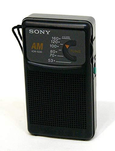 SONY \j[ ICR-S30 ubN AMnfB|[^uWI