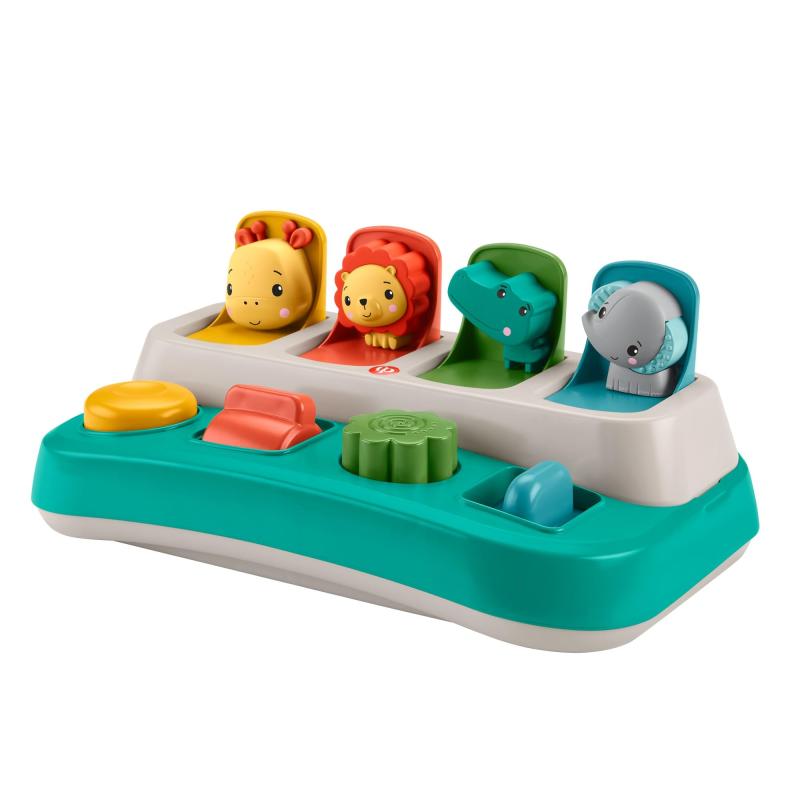 マテル(MATTEL) フィッシャープライス(fisher price) 感覚を育てよう ボタンでぴょっこりどうぶつえん 【9ヵ月~】 HRG14