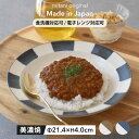 カレー皿 深皿 プレート 食器 ラウト 美濃焼 陶器 器 カレーライス ブラウン ブルー パスタ 麻婆豆腐 おやつ 洋食器 日本 ライン 洋風 フルーツ デザート皿 デザート おしゃれ 国産 カフェ風 シンプル 電子レンジ対応 食洗器対応 見谷陶器 みたにとうき