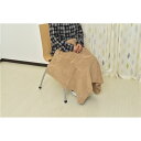 スーパSALE10倍&4時間限定10%OFF ひざ掛け Lサイズ 約70×130cm キャメル 日本製 吸湿発熱 薄型 もこもこ シープタッチ エバーウォーム ...