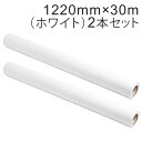 2本セット カッティング用シート 屋外耐候4年 1220mm×30m (ホワイト) NC-3501 紙管内径3インチ 再剥離糊 シール ステッカー ラベル【沖縄...