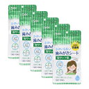 【5個セット】 SKK 歯みがきシートa 3日分 10枚入り 長期保存対応 / 断水 / 避難所 / 非常時 / アウトドア / キャンプ / 衛生用品 / 歯ブラシ / 口内ケア