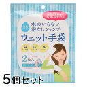 【5個セット】 水のいらない泡なしシャンプー ウェット手袋 2枚入り / 断水 / 避難所 / 非常時 / アウトドア / キャンプ / 入院 / 介護 / 衛生用品 / ウェットシート