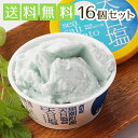 高知アイス 天日塩ジェラート 16個送料無料 ギフト贈り物 ...