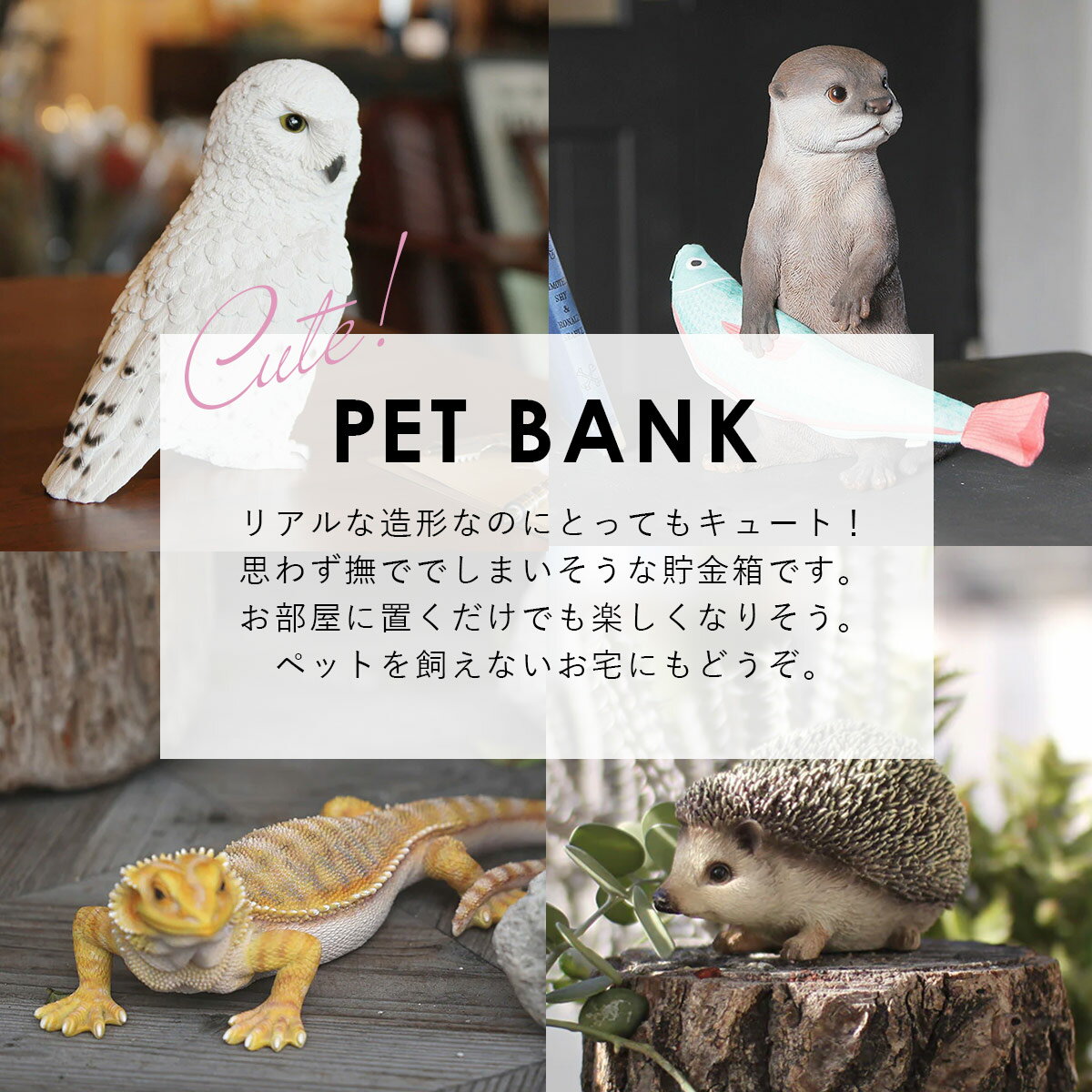 PET BANK ペットバンク STAR TORTOISE ホシガメ | インドホシガメ / 亀 / 貯金箱 /...