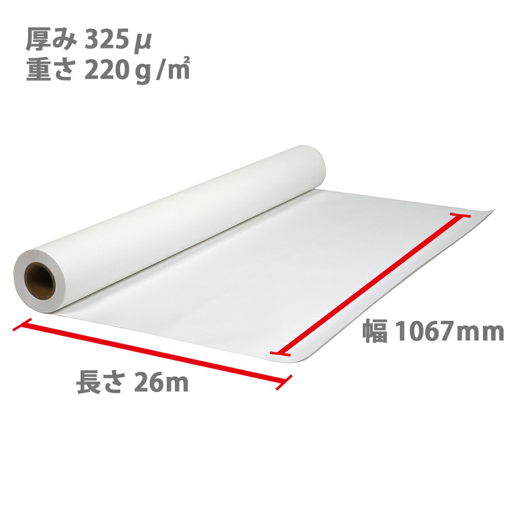 エレコム ELK-MUN2A450 レーザープリンタ用 両面マット紙 薄手 A4サイズ 50枚入 ELKMUN2A450