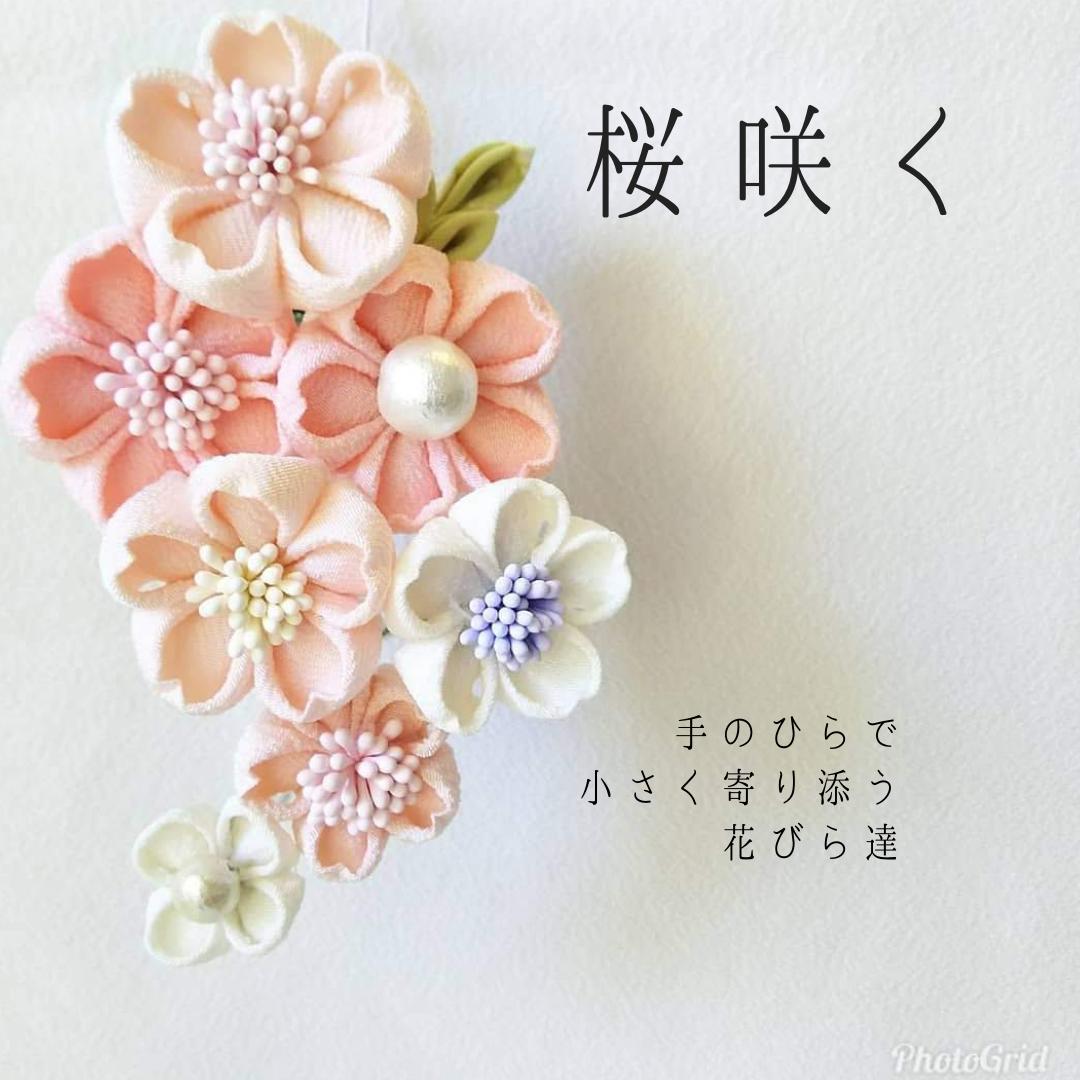 送料無料 正絹 つまみ細工 の 髪飾り 桜咲く さくら いちりん 花びら 一枚の 布 に型付けをい 凹凸少な目 ちりめん 縮緬 ピンク の手のひらに収まる花束 つまみ細工 髪飾り 絹 ミテラピンクが可愛い 桜満開 髪飾り コーム 仕上げ の つまみ細工 かんざし　【売れ筋】
