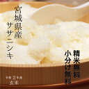 《厳選米！》宮城県産 ササニシキ令和2年 玄米 30kg 【調整済玄米！】【送料無料】【精米 又は 小分け無料】