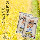 令和2年宮城県産ひとめぼれ白米10kg（5kg×2）【送料無料】