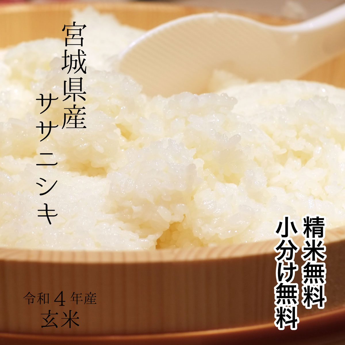 【厳選米！】宮城県産 ササニシキ令和4年 玄米 30kg【調整済　玄米食・家庭用精米に】【送料無料】【精米 又は 小分け無料】のサムネイル
