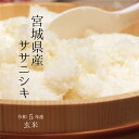 【厳選米！】令和5年 宮城県産ササニシキ 玄米10kg 【調整済　玄米食・家庭用精米に】【送料無料】