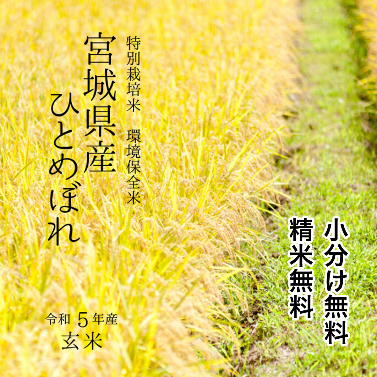 宮城産 ひとめぼれ 【厳選米】特別栽培米 宮城県産 環境保全米 ひとめぼれ 令和5年 玄米 30kg【調整済　玄米食・家庭用精米に】【送料無料】【精米 又は 小分け無料】