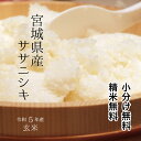 【厳選米！】宮城県産 ササニシキ令和5年 玄米 30kg【調整済 玄米食 家庭用精米に】【送料無料】【精米 又は 小分け無料】