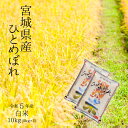 令和5年 宮城県産ひとめぼれ白米10kg（5kg×2）【送料無料】