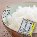 人気ランキング第27位「みちのくお米本舗」口コミ数「252件」評価「4.88」令和5年 宮城県産 ゆきむすび白米10kg（5kg×2）【送料無料】