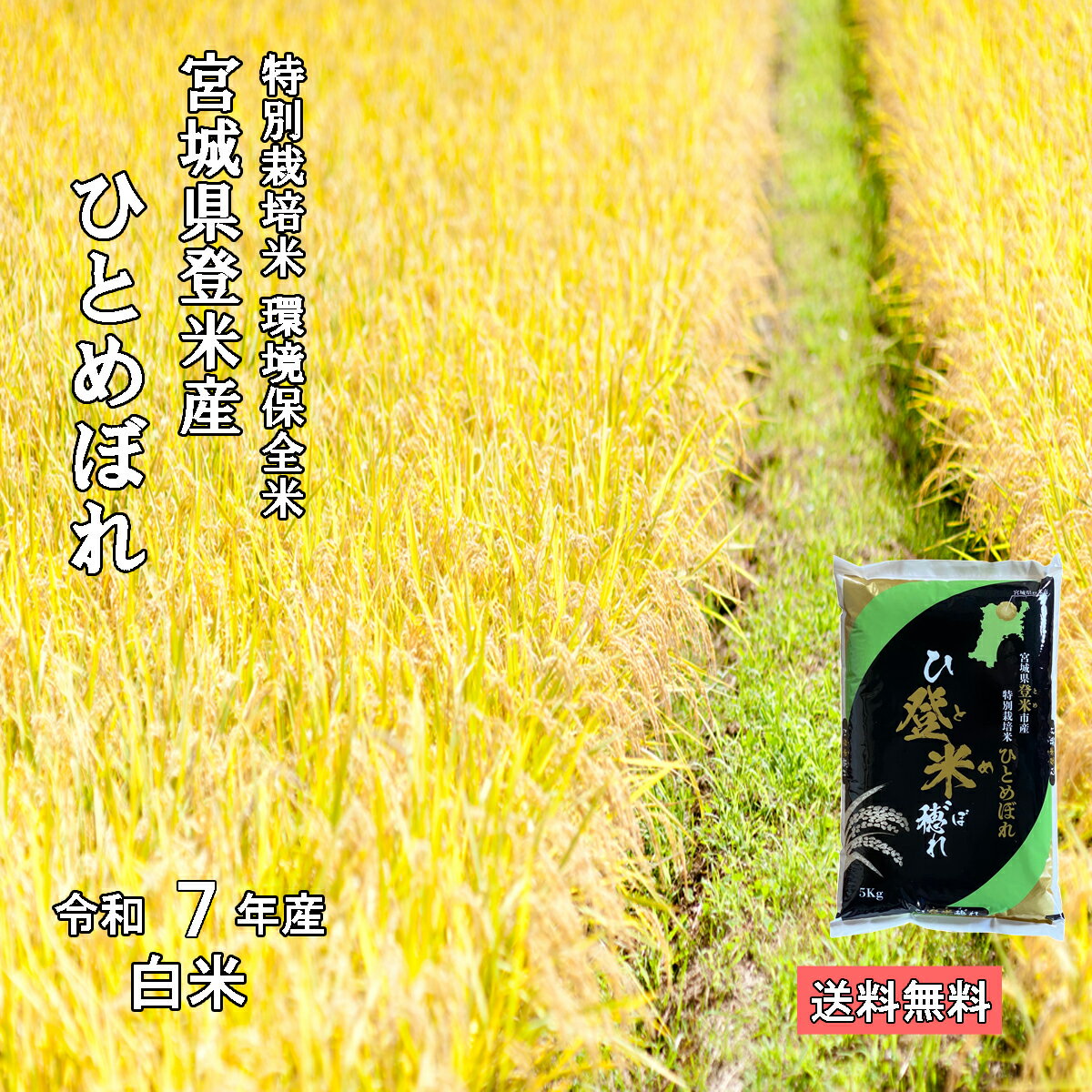 令和7年産 宮城県登米産 特別栽培米 環境保全米 ひとめぼれ 白米【送料無料】