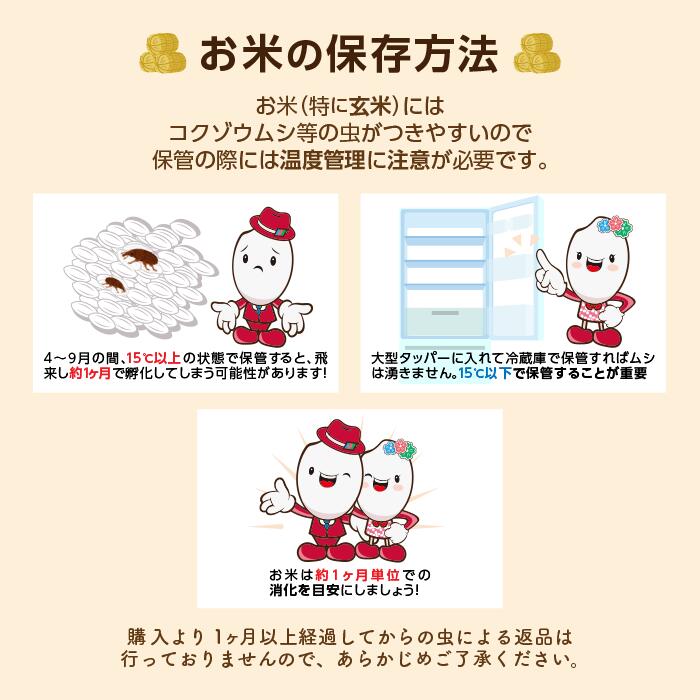 あっさり食感口の中でふわぁ〜と解ける宮城のササニシキ　令和7年 宮城県産 ササニシキ 白米【送料無料】