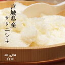 令和元年 宮城県産 ササニシキ白米10kg（5kg×2）【送料無料】