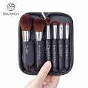 ROLYPOLY 化粧ブラシ 高級繊維毛 メイクブラシ【6本入り】 ポーチ付き 収納 化粧筆 化粧ブラシセット 携帯便利(ブラック)