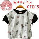 ScoLar Kids スカラー キッズ シアー半袖T ストライプ Tシャツ オーガンジー トップス スカラーちゃん ボーダー 総柄 猫 プリント 花 キッズ ...