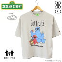 SESAME STREET セサミストリート プリント半袖T B 親子コーデ FRUIT OF THE LOOM フルーツオブザルーム コラボレーション バイオウォッシュ ピーチ加工 クッキーモンスター エルモ メンズ 男性 レディース 女性 春夏 アメカジ お揃い 面白い ゆったり かわいい グレージュ