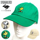 PETER GRIMM×PEANUTS ピーターグリム ピーナッツ ツイルキャップ 刺繍 DAD CAP スヌーピー ウッドストック 帽子 コットン100% メ...