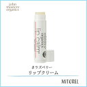 【送料無料】ジョンマスターオーガニック JOHN MASTERS ORGANICSリップカーム(ラズベリー)4g【10g】 その1