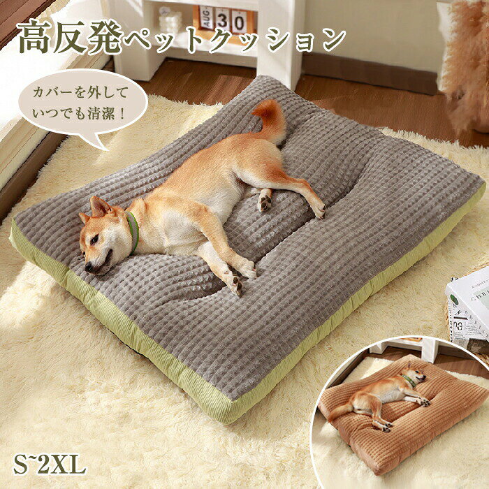 ペットベッド 犬用 クッション ふわふわ 洗える 猫用 クッション かわいい 犬 猫 滑り止め ペットクッション 小型犬 中型犬 大型犬 柔らかい 秋 冬 もこもこ 寝床 犬ベッド 猫ベッド ふんわり 寒さ対策 ペットマット シニア 老犬 介護 丸洗い 寝心地の良いふわふわクッション 触り心地のいい生地でインテリア性がある フワフワ モコモコ イヌ いぬ ねこ ネコ 可愛い 犬クッション 通年 ラージ ペットソファー ペットベット。ペットベッド 犬用 クッション ふわふわ 洗える 猫用 クッション かわいい 犬 猫 滑り止め ペットクッション 小型犬 中型犬 大型犬 柔らかい 秋 冬 もこもこ 寝床 犬ベッド 猫ベッド ふんわり 寒さ対策 ペットマット シニア 老犬 介護 丸洗い 関連キーワード 検索キーワード：ペットベッド 犬用 クッション ふわふわ 洗える 猫用 クッション かわいい 丸型 犬 猫 滑り止め ペットクッション 小型犬 中型犬 大型犬 柔らかい 秋 冬 もこもこ 寝床 犬ベッド 猫ベッド 水洗い ふんわり 寒さ対策 暖かい ペットマット シニア 老犬 介護 丸洗い ペットソファー ペットベット 冬用 あったか 暖かい ペットマット 滑り止め 可愛い 快適 お手入れ簡単 メーカー希望小売価格はメーカーサイトに基づいて掲載しています