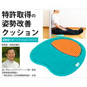 ISM 姿勢美サポートクッション ZAGOO 特許取得 シート型クッション 姿勢改善 骨盤 腰