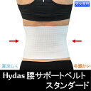 ハイダス 腰サポートベルト‐腰痛 Hydas アウトラスト 自動温度調整機能 コルセット マジックテープ 男女兼用 軽量 腰用サポーター (スタンダード)(4)