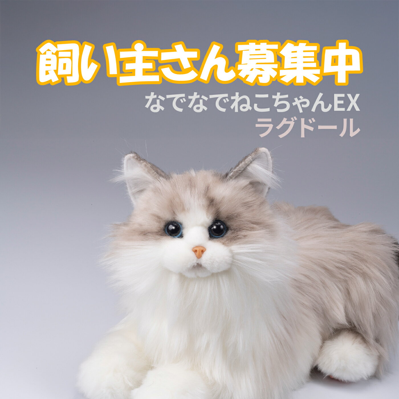 楽天市場】ラグドール(ぬいぐるみ|ぬいぐるみ・人形 楽天市場】ラグドール(ぬいぐるみ|ぬいぐるみ・人形