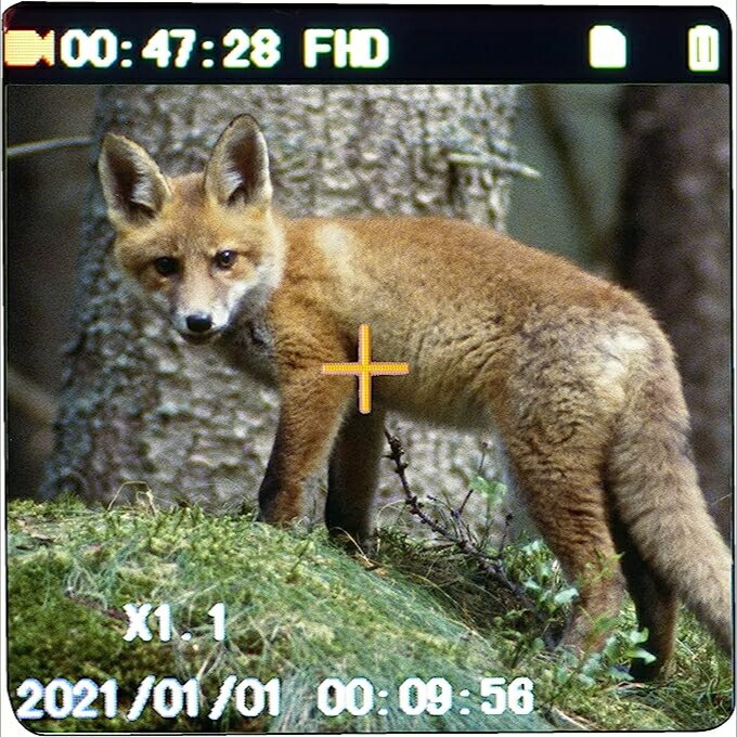 三つ葉ショッププロのキヨラカ AH-C01D　暗闇でも撮れる「赤外線暗視ハンディカメラ」録画撮影カメラ片手便利拡大 黒 ※箱に若干の傷あり。｜アングル3