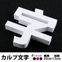 カルプ文字 浮き文字 立体文字「漢字」 縦35cm×厚さ：3cm 屋外仕様/店舗/飲食店/会社名/看板/激安/格安/丈夫/耐久性抜群 目立つカラー使用/全国配送　Karupu-b350