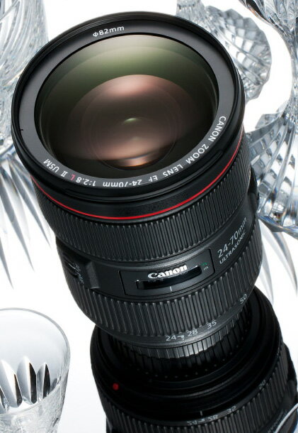 【中古】Nikon ニコン AF-S DX NIKKOR 10-24mm f3.5-4.5G ED レンズ