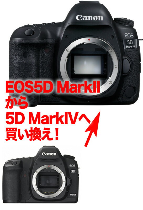 [3年保険付]キヤノン EOS 5DMarkII→ EOS 