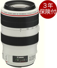 https://thumbnail.image.rakuten.co.jp/@0_mall/mitsuba/cabinet/canon2/imgrc0079332267.jpg