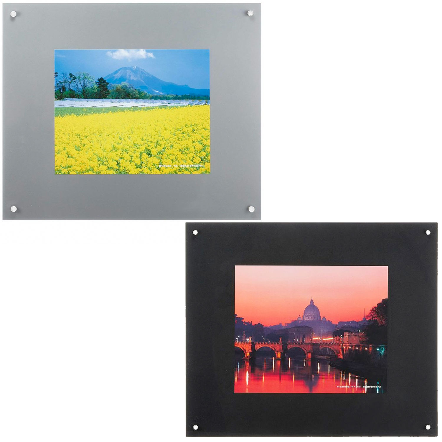 FUJICOLOR アクリル額縁 フジカラー プロフレーム 特寸フリー S / L シルバー／ブラック