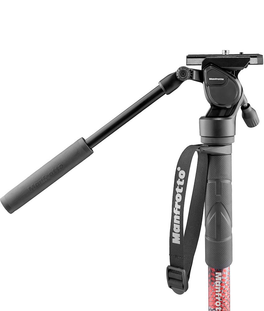 [��Ͽ�Ǳ�Ĺ�ݾ�!][�Ѳý�4kg] �ޥ�ե��å� MVMELMIIA4LIVE Element MII ����ߥ˥���4�ʥӥǥ���� �ե롼�ɱ��桦�ե롼�ɥ١����հ��