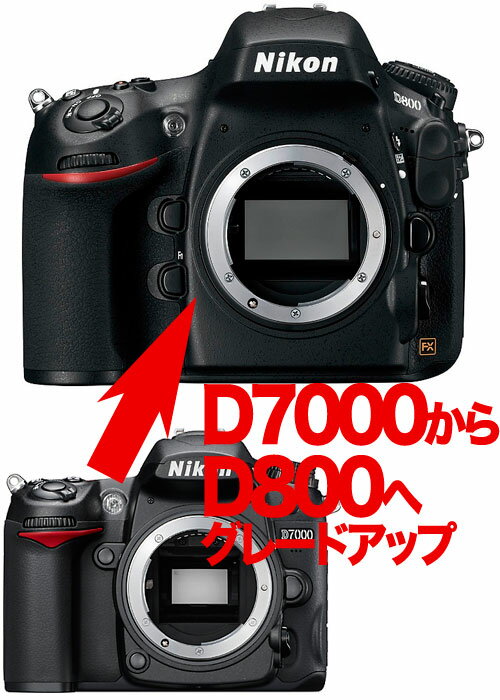 Nikon D800 ニコン←D7000 デジタル一眼レフボディーグレードアップ[02P05Nov16]【コンビニ受取対応商品】