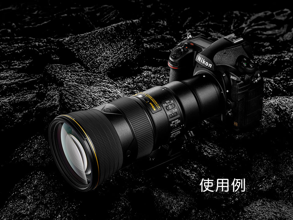 �˥��� AF-S NIKKOR 500mm f/5.6E PF ED VR Nikon��֤�����������Ķ˾����[02P05Nov16]