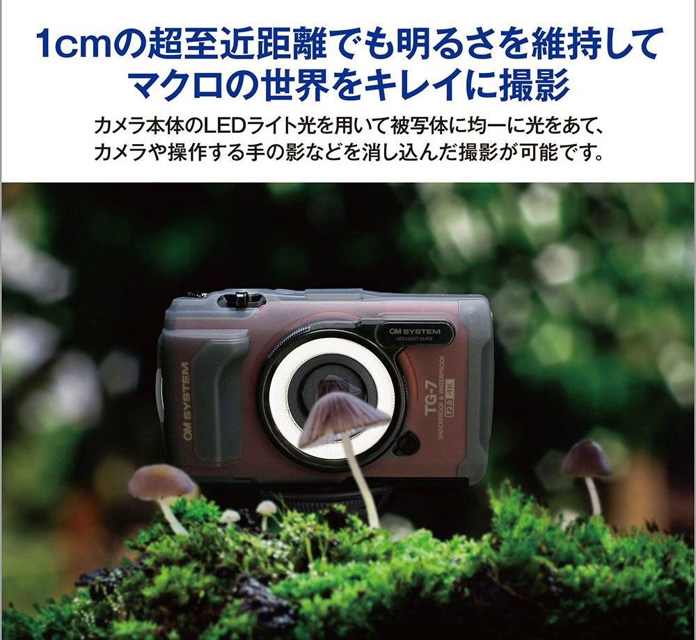 ��OM SYSTEM(OLYMPUS)�� LED�饤�ȥ����� LG-1 ��4545350054373�ˡ�2025ǯ5��30��ȯ���OLYMPUS/�����ѥ�������̵��/�쥿���ѥå����뤤�������ؤǤ�ȯ����[02P05Nov16]