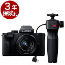 [3年保険付]パナソニック LUMIX G100DV トライポッドグリップ付レンズキット DC-G100DV　ミラーレス一眼ミニ三脚グリップ＆ズームレンズセット [02P05Nov16]