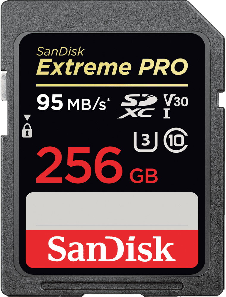 【日本正規品】サンディスク Extreme Pro SDXC 256GB UHS-I U3対応 Class10 V30 SDXCカード【送料無料/レターパックあるいは宅配便での発送】 読み取り最大95MB/秒 書き込み最大90MB/秒 UHSスピードクラス3 SanDiskエクストリームプロSDXCカード 02P05Nov16