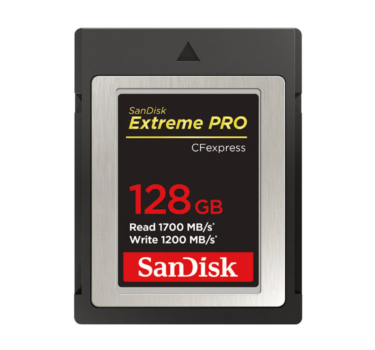 ʡ̵ۡ/쥿ѥå뤤ؤǤȯۥǥ Extreme Pro CFexpress 128GB ȥ꡼ ץ CFץ쥹 TypeB ꡼ SDCFE-128G-JN4NN [02P05Nov16]