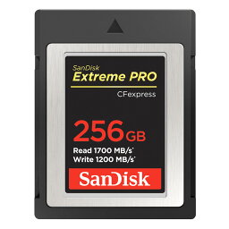 【日本正規品】【送料無料/レターパックあるいは宅配便での発送】サンディスク Extreme Pro CFexpress 256GB エクストリーム プロ CFエクスプレス TypeB メモリーカード [02P05Nov16]