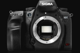 シグマ SIGMA SD1 デジタル一眼レフボディーのみ『1〜3営業日後の発送』[02P05Nov16]【コンビニ受取対応商品】