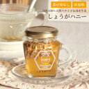 【最大8%OFFクーポン!5/18】しょうがハニー 期間限定販売 国産蜂蜜 国産生姜使用 非加熱 はちみつ ギフト 瓶詰